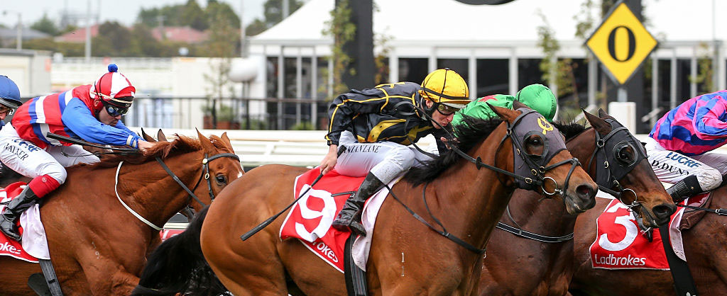 Home Trotter Racing